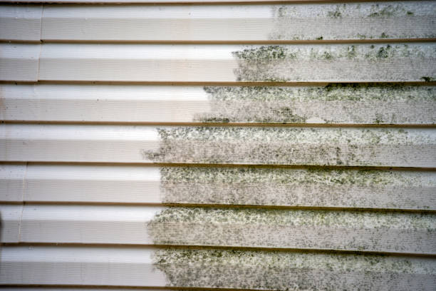 Best Basement Cleanout  in Martinsville, NJ